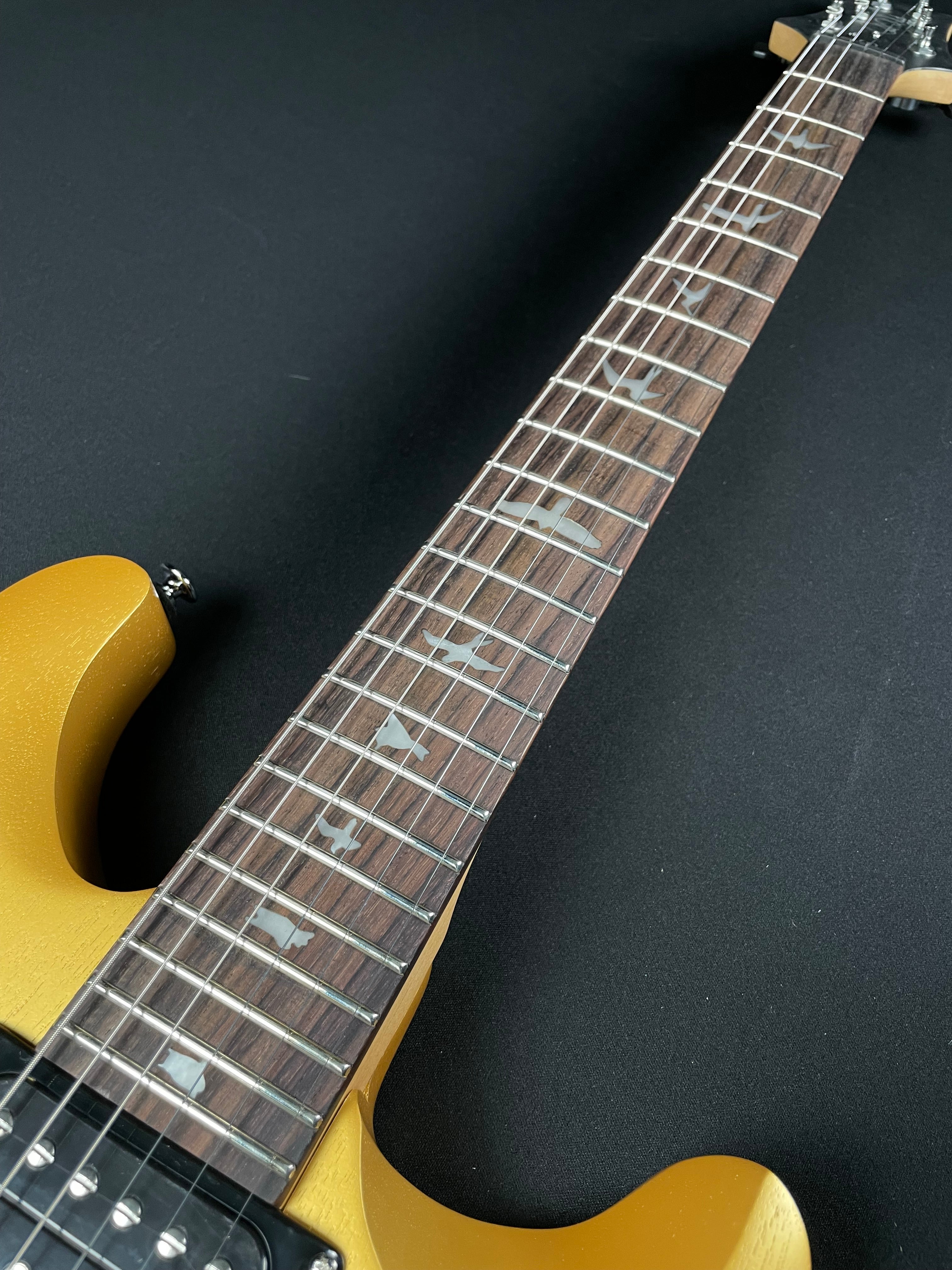 PRS SE CE 24 Standard w/Gig Bag - Metallic Gold (2025)