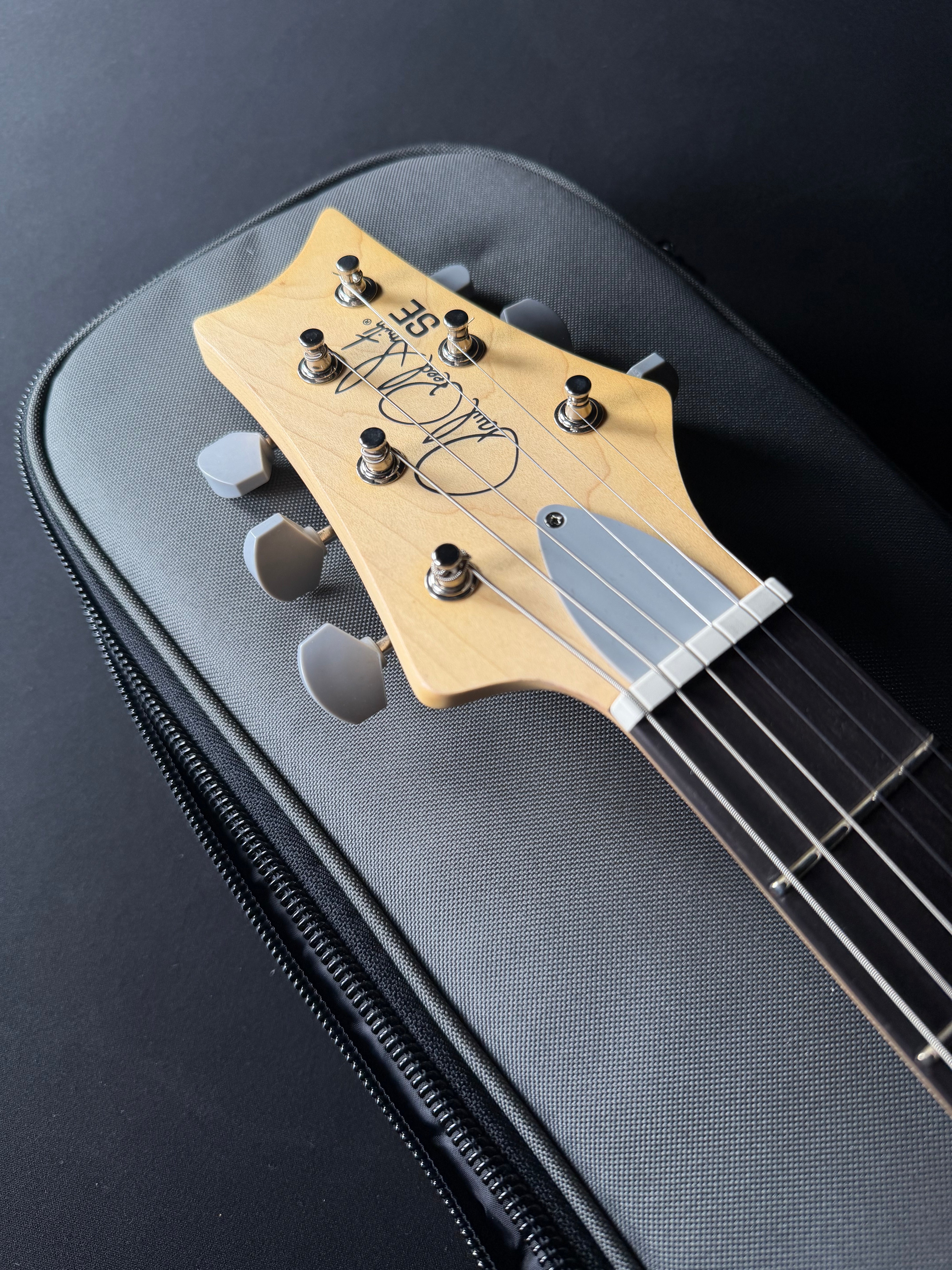 PRS SE Silver Sky with Rosewood Fingerboard - Dany Lion - Metronome Music Inc.
