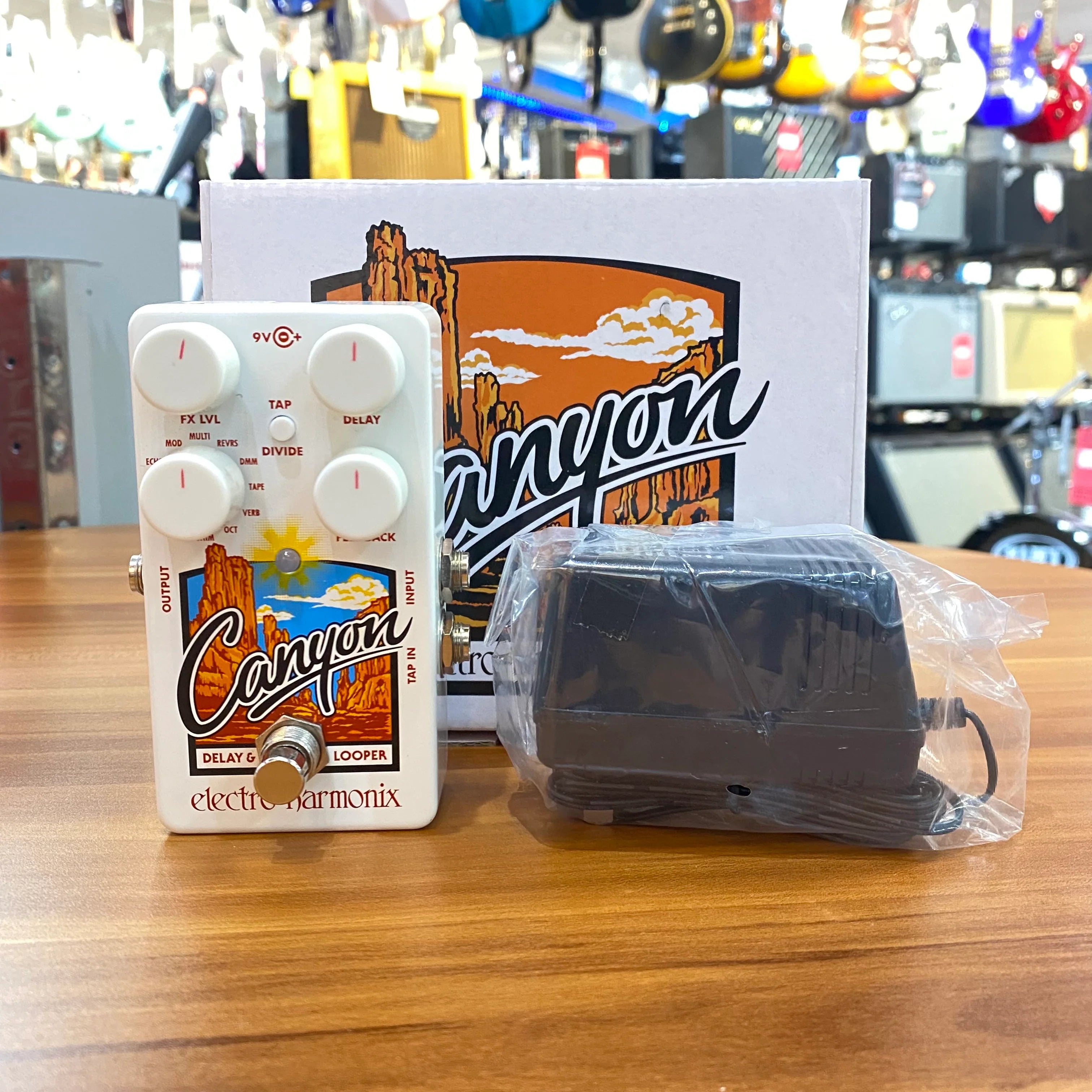 Electro Harmonix Canyon Delay & Looper (Used) - Metronome Music Inc.