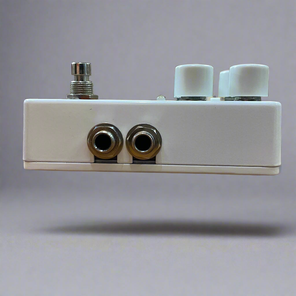 Electro Harmonix Canyon Delay & Looper (Used) - Metronome Music Inc.