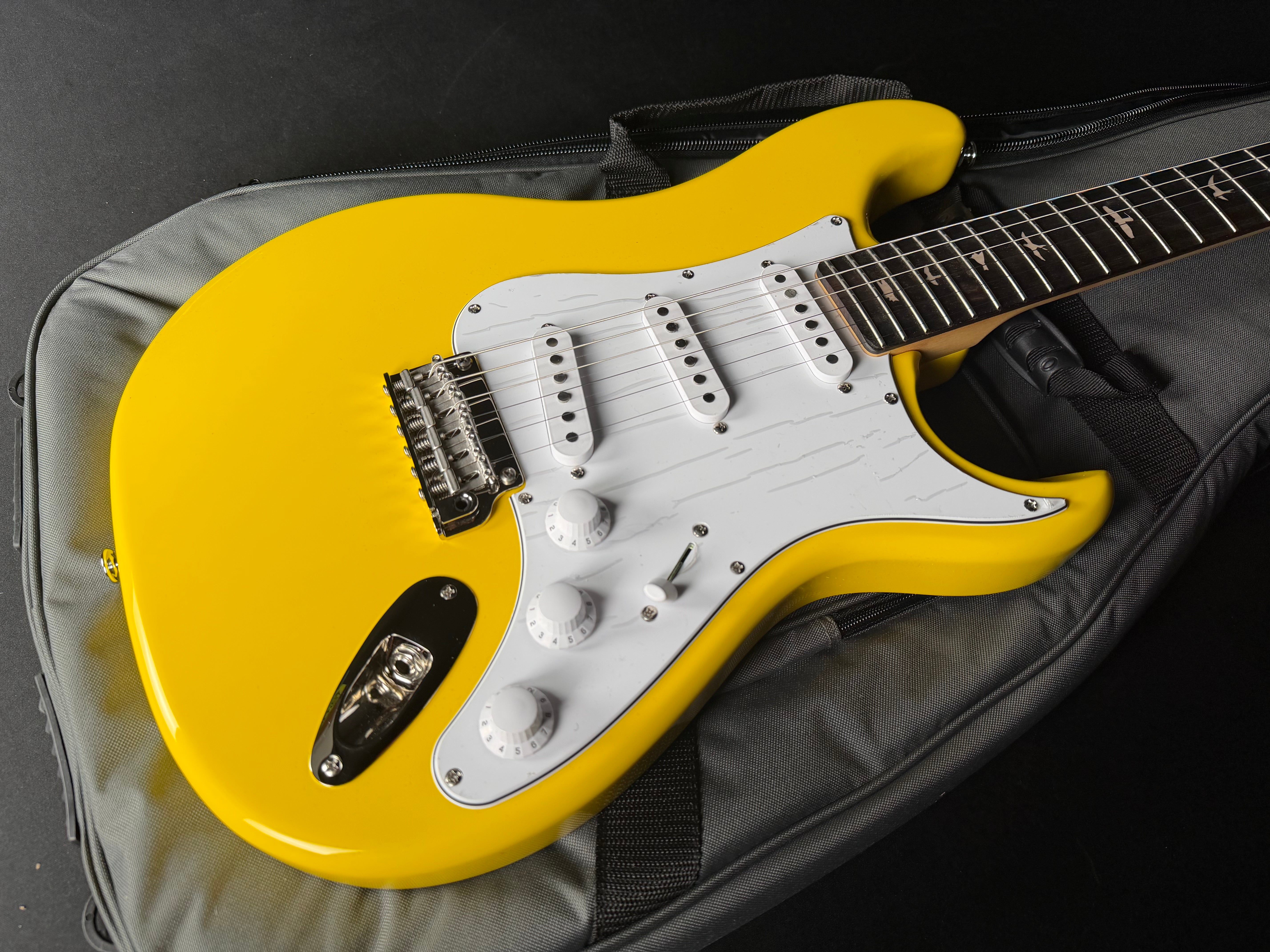 PRS SE Silver Sky with Rosewood Fingerboard - Dany Lion