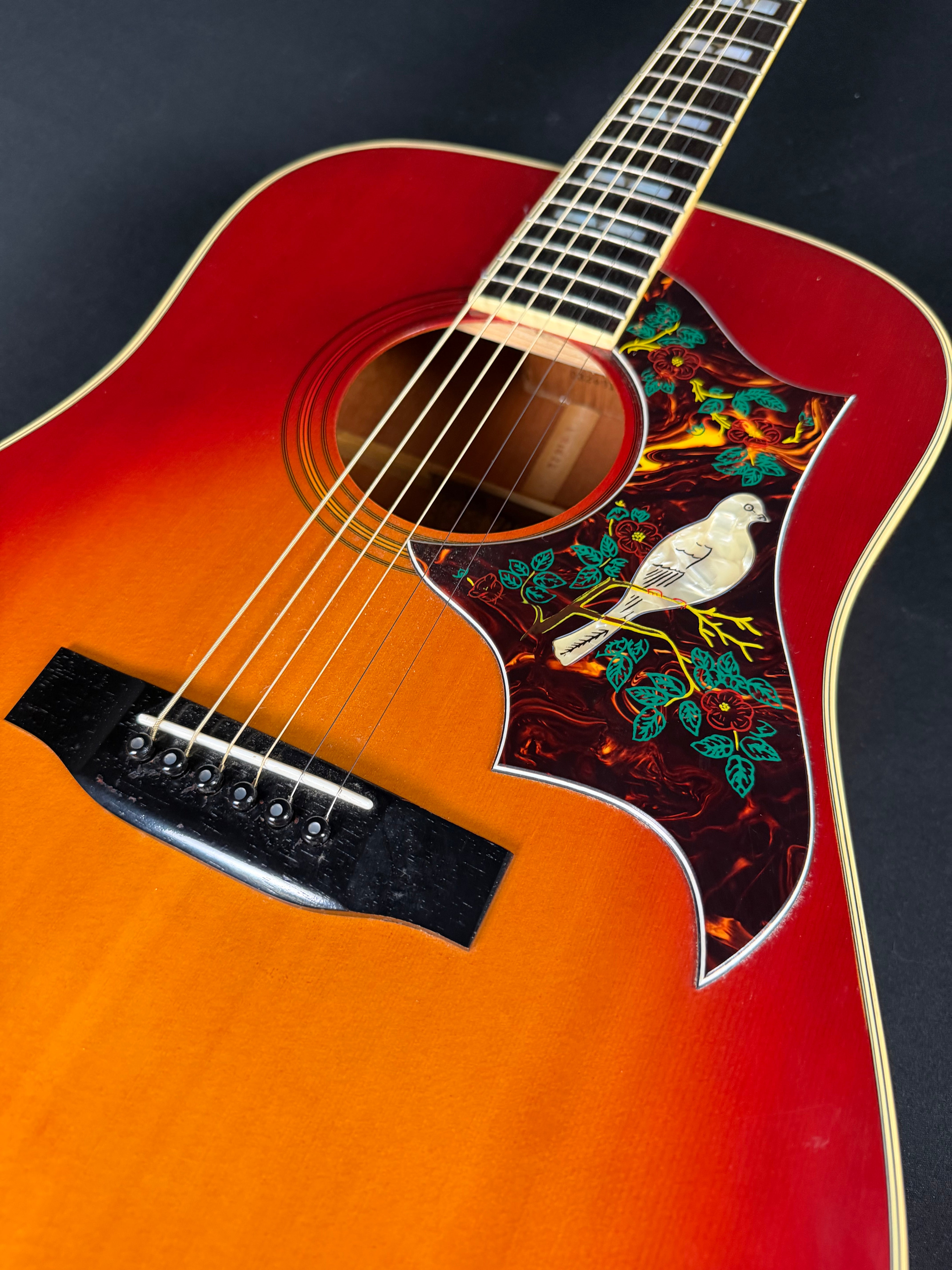 Alvarez 5024 Dove w/ Case Cherry Sunburst (1970’s)