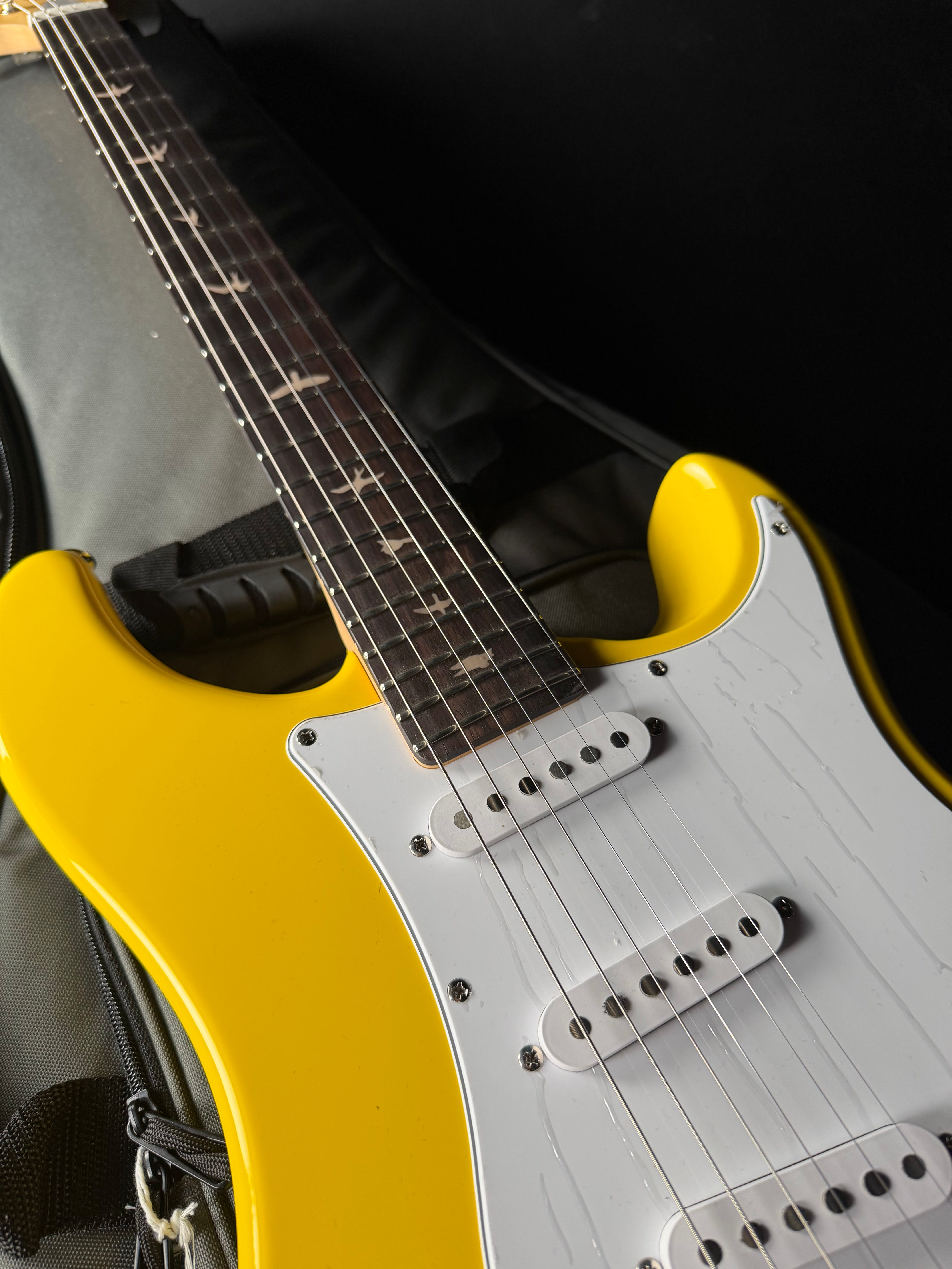 PRS SE Silver Sky with Rosewood Fingerboard - Dany Lion - Metronome Music Inc.
