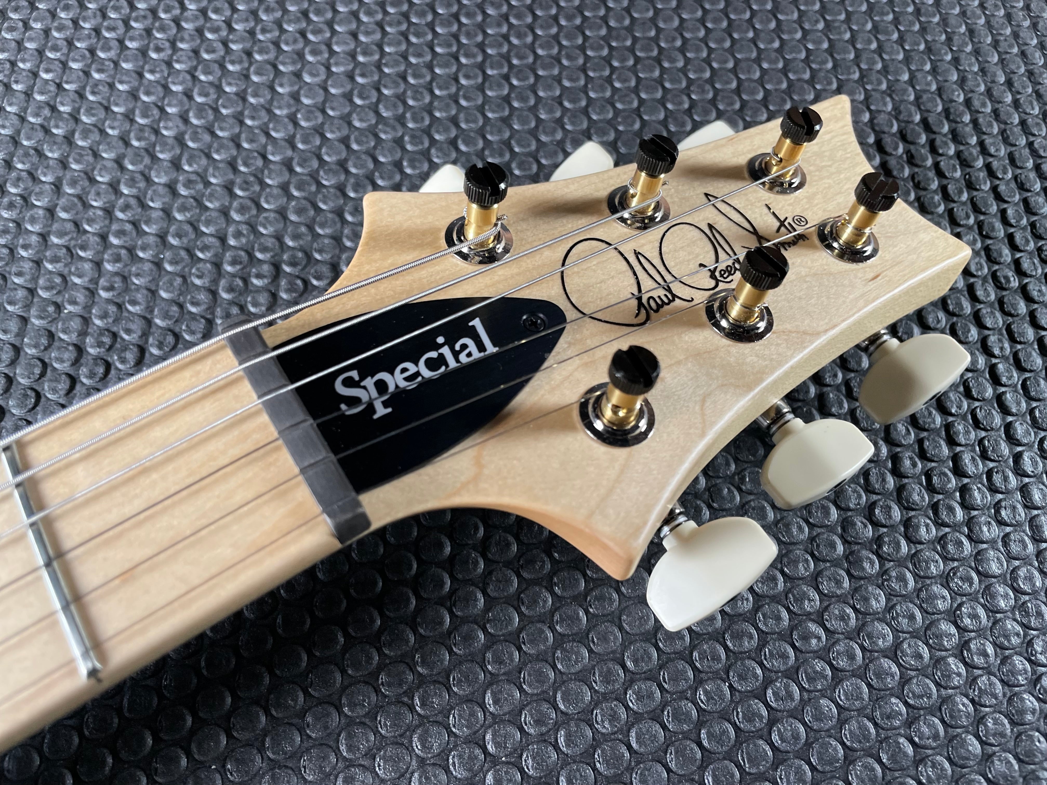 PRS Swamp Ash Special - White Doghair Smokeburst - Metronome Music Inc.