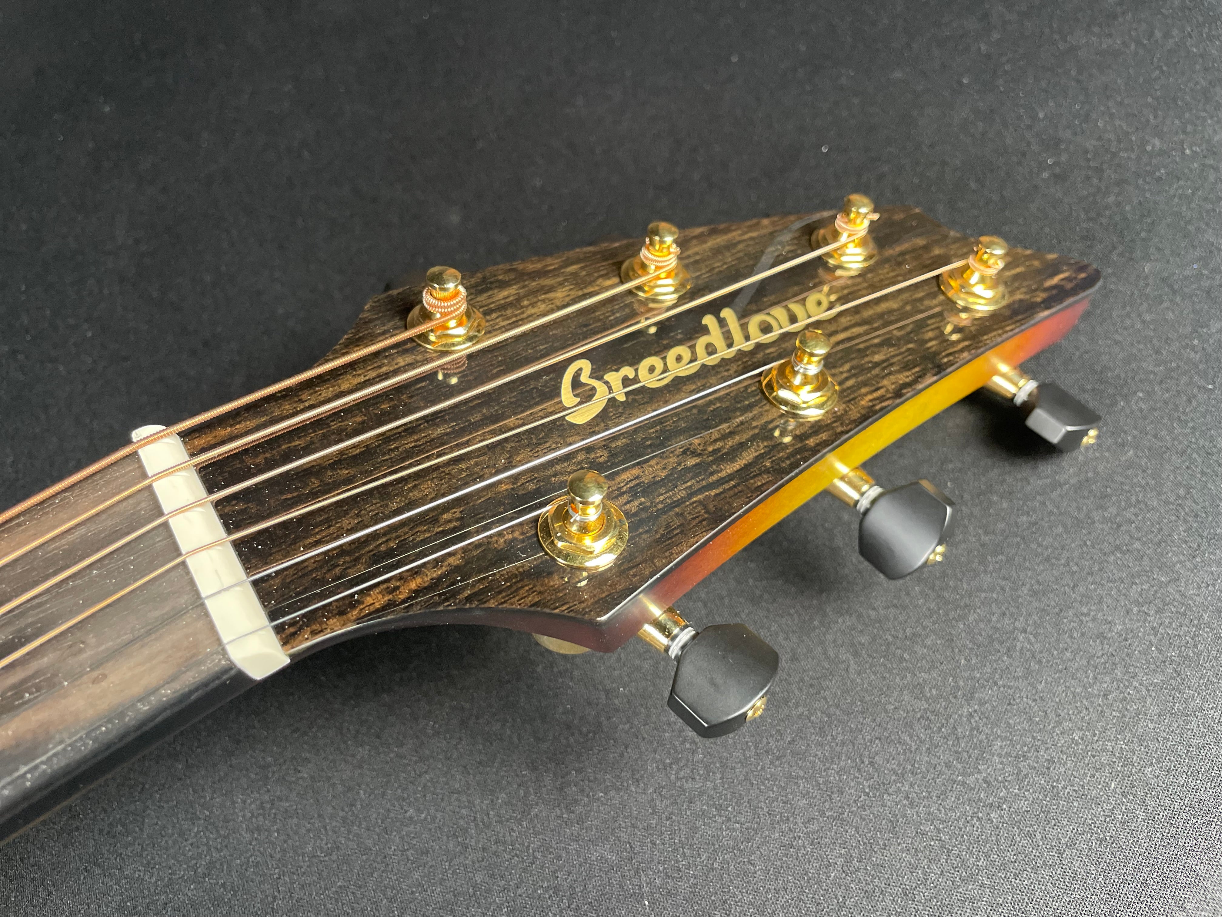 Breedlove Oregon Concert Earthsong LTD K&K Pickup