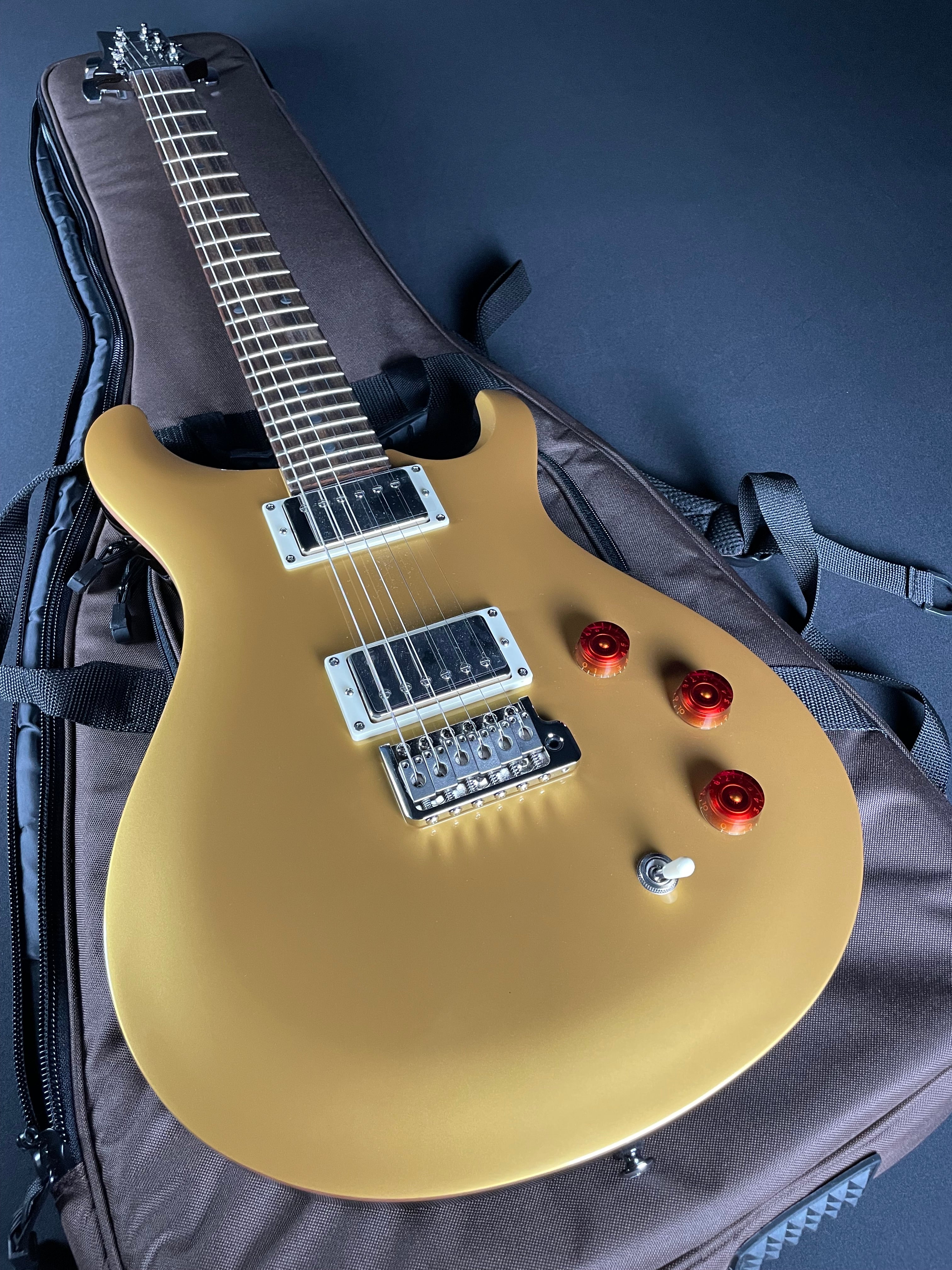 PRS SE DGT David Grissom Signature w/Gig Bag - Gold Top - Metronome Music Inc.