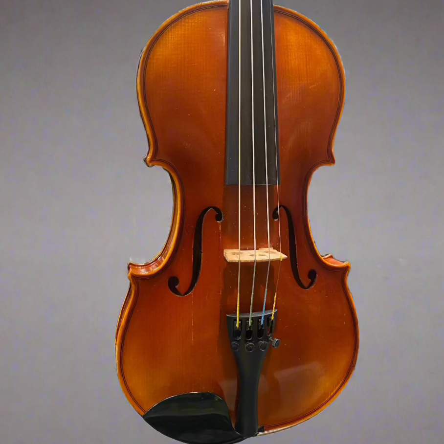 Core Academy 3/4 Violin Outfit (USED) - Metronome Music Inc.