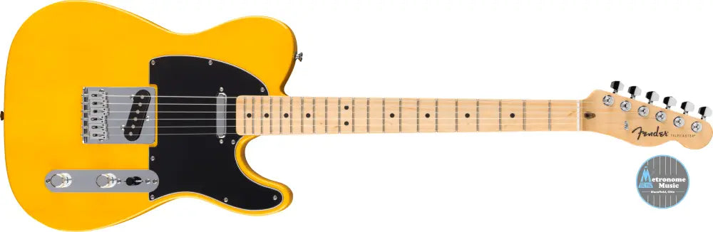 Fender Standard Telecaster, Maple , Butterscotch Blonde - Metronome Music Inc.