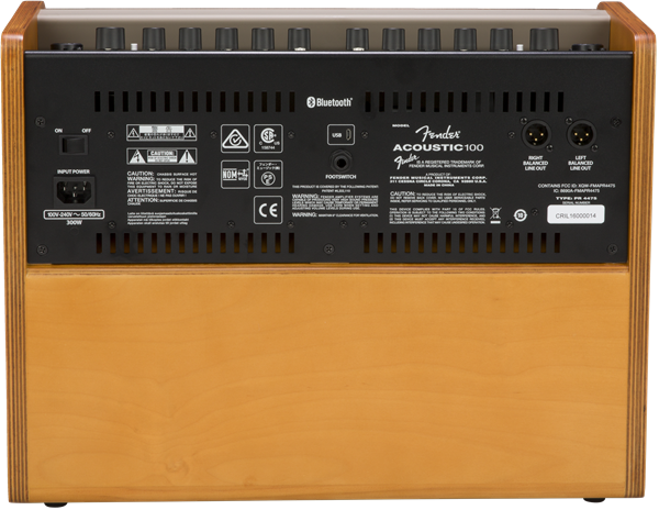 Fender Acoustic 100, 2-Channel 1x8" Acoustic Amplifier - Metronome Music Inc.